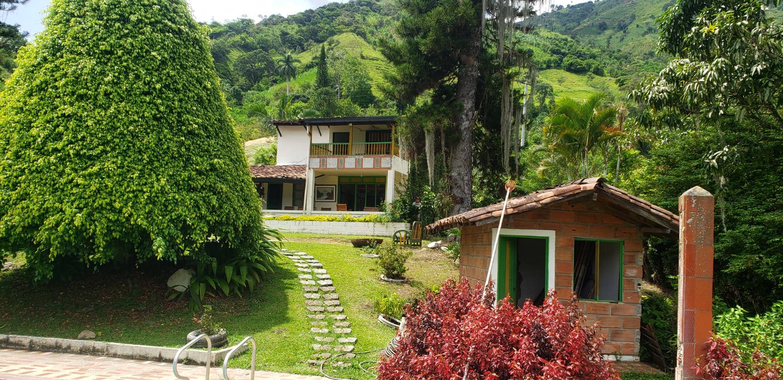 Carrusel 4